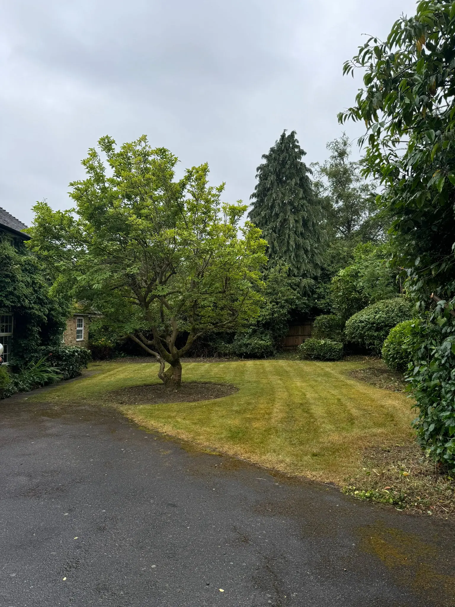 Garden maintenance service by GX Tree Care in South Bucks