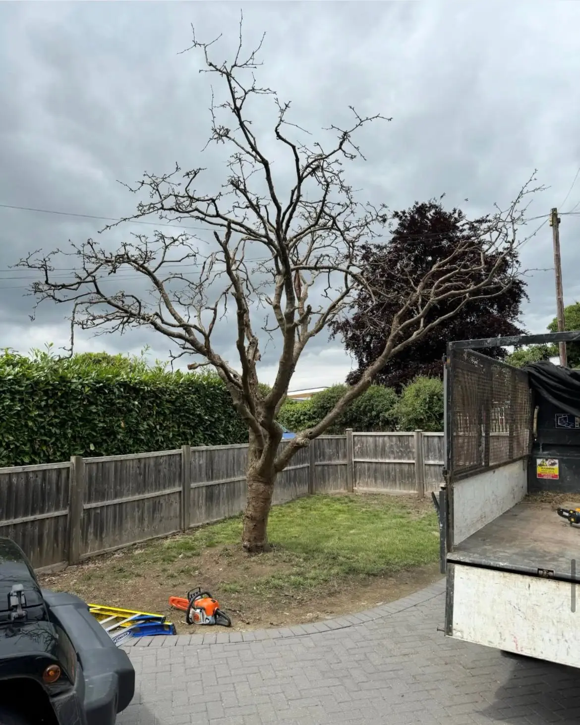 Crown lifting on trees beside railway arches, commercial tree surgery by GX Tree Care