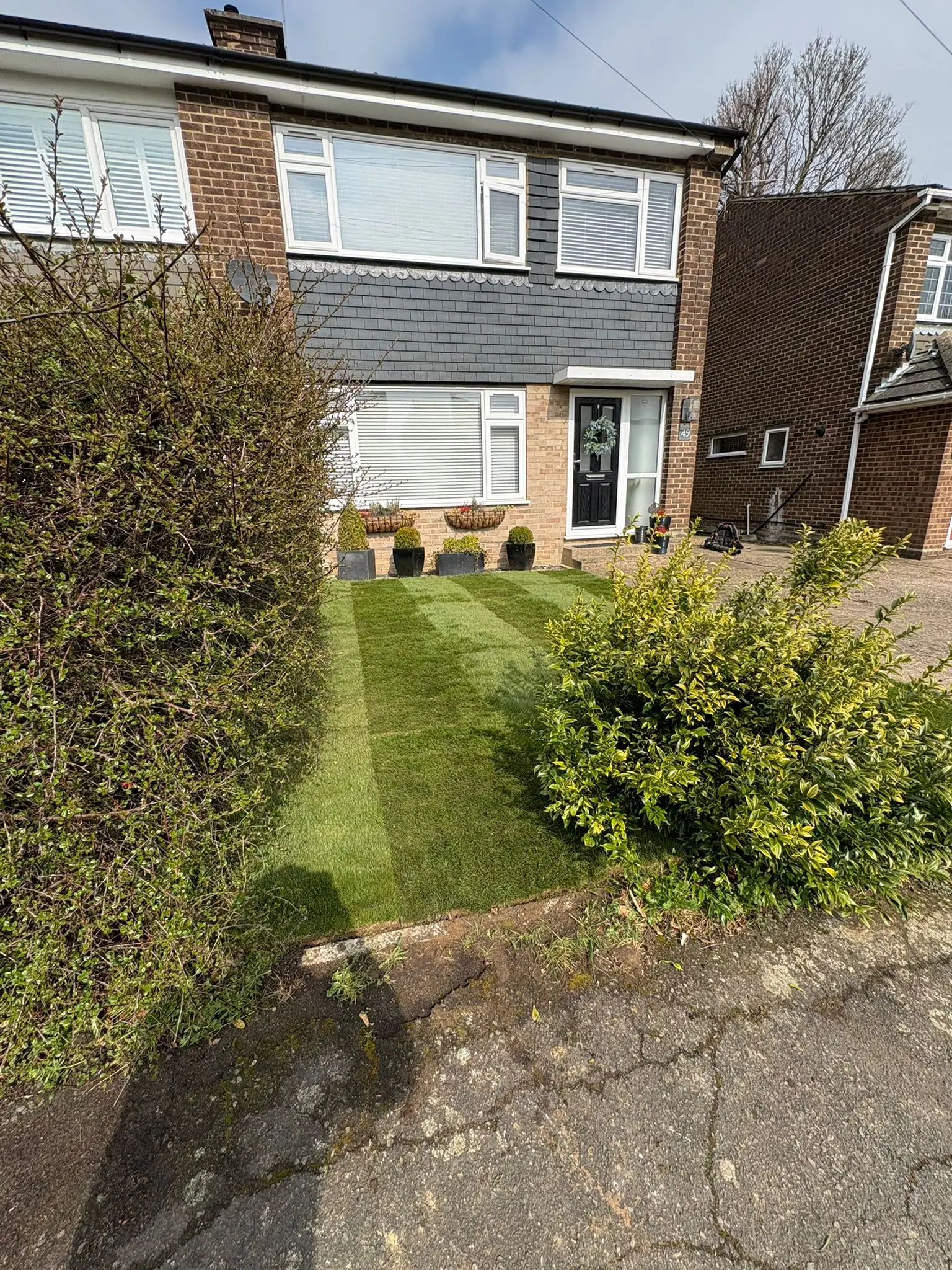 New front lawn turf laid by GX Tree Care gardening team, South Bucks