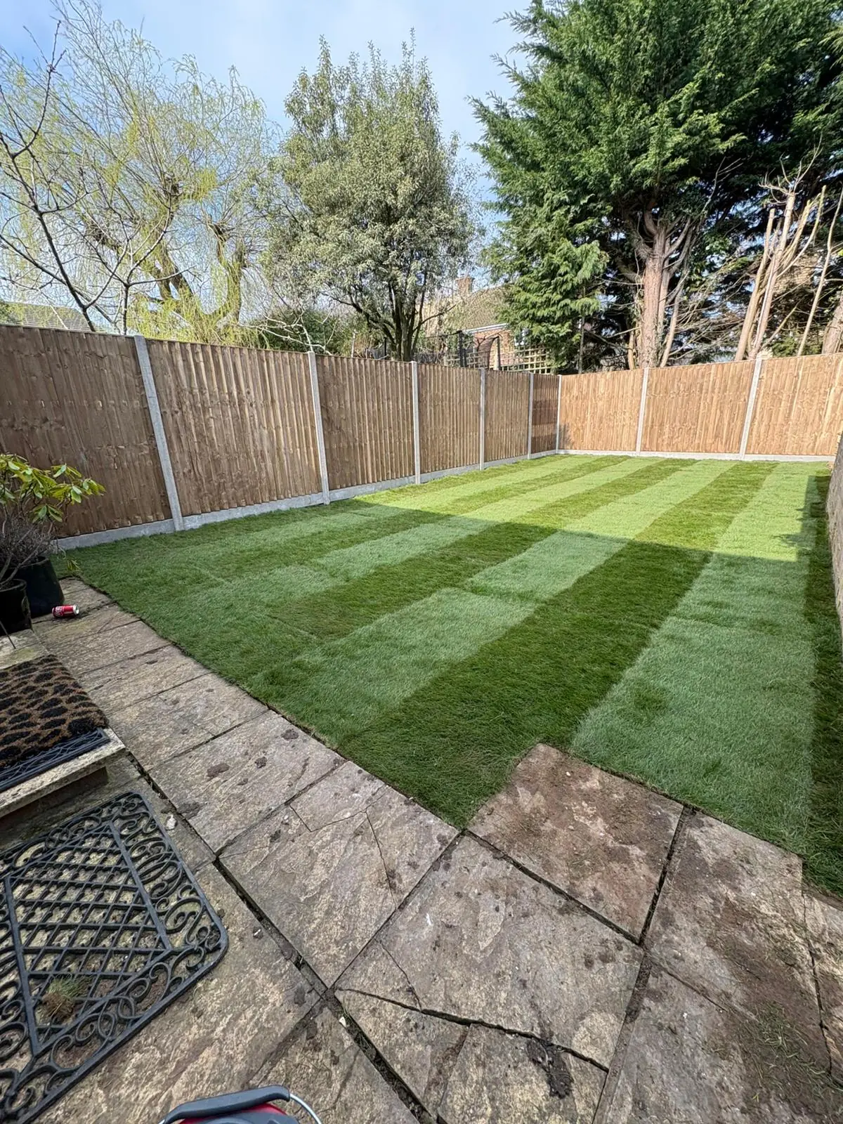 New lawn turf laid by GX Tree Care in Gerrards Cross