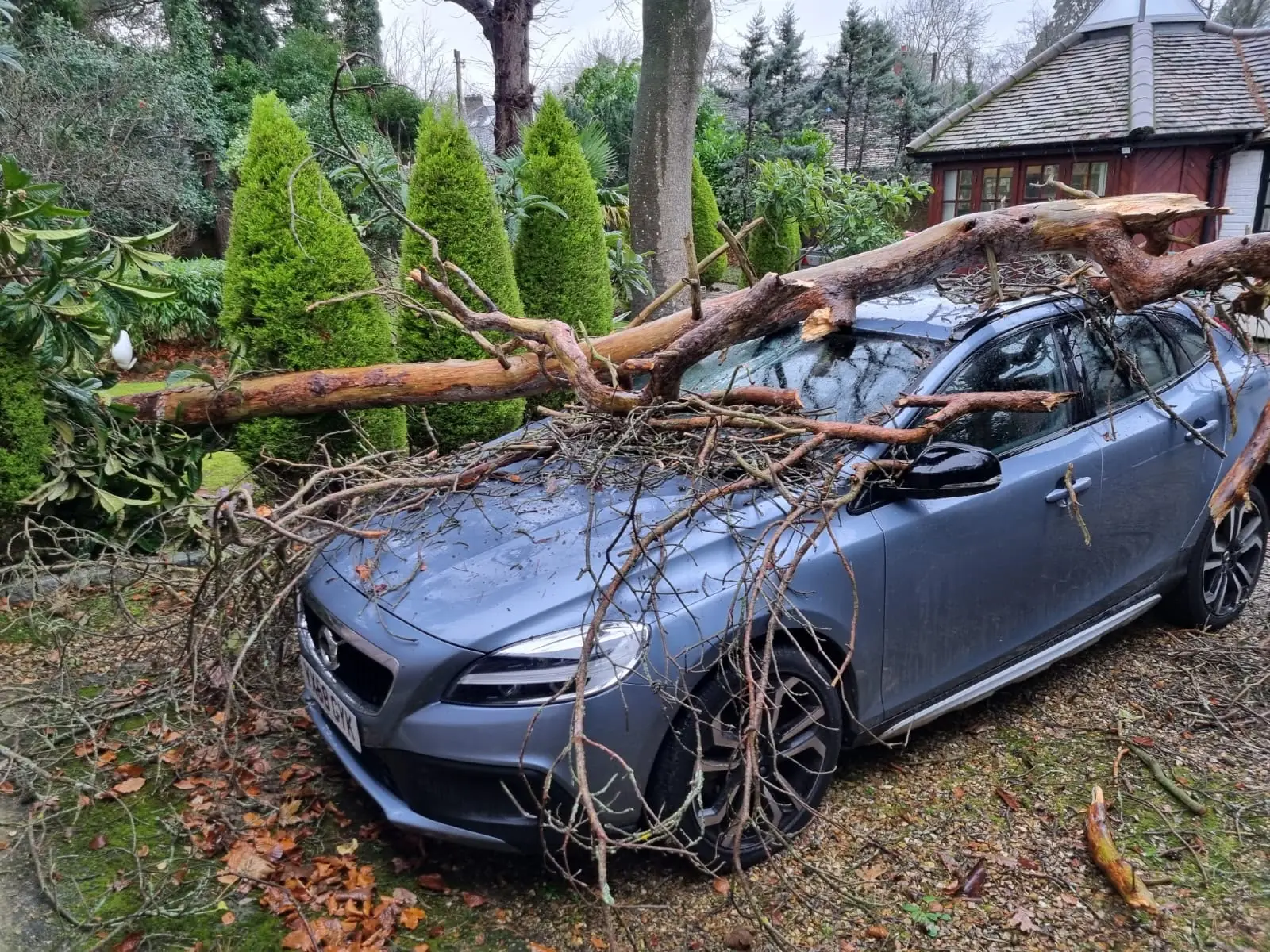 Storm-damaged tree fallen on car, emergency callout by GX Tree Care, South Bucks