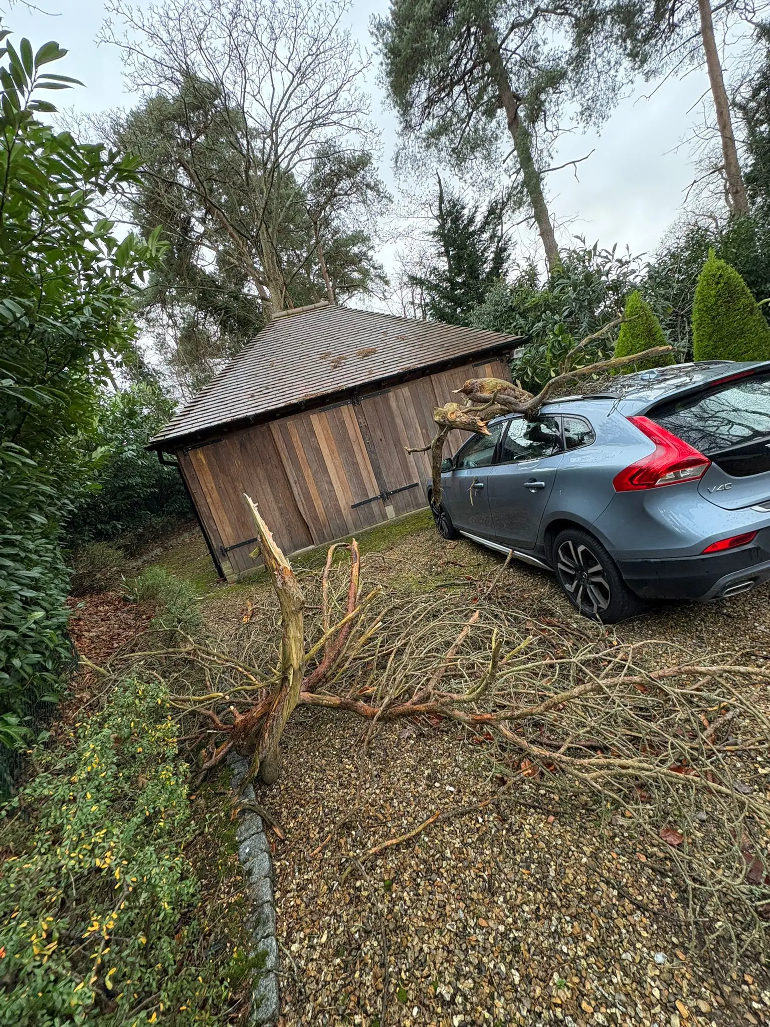 Storm-damaged tree safely removed by NPTC certified arborist, Gerrards Cross